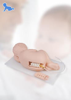 DM-PS6300 婴儿腰椎穿刺模型    