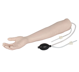DM-NS6009  动脉注射手臂模型    