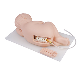 DM-PS6300 婴儿腰椎穿刺模型    