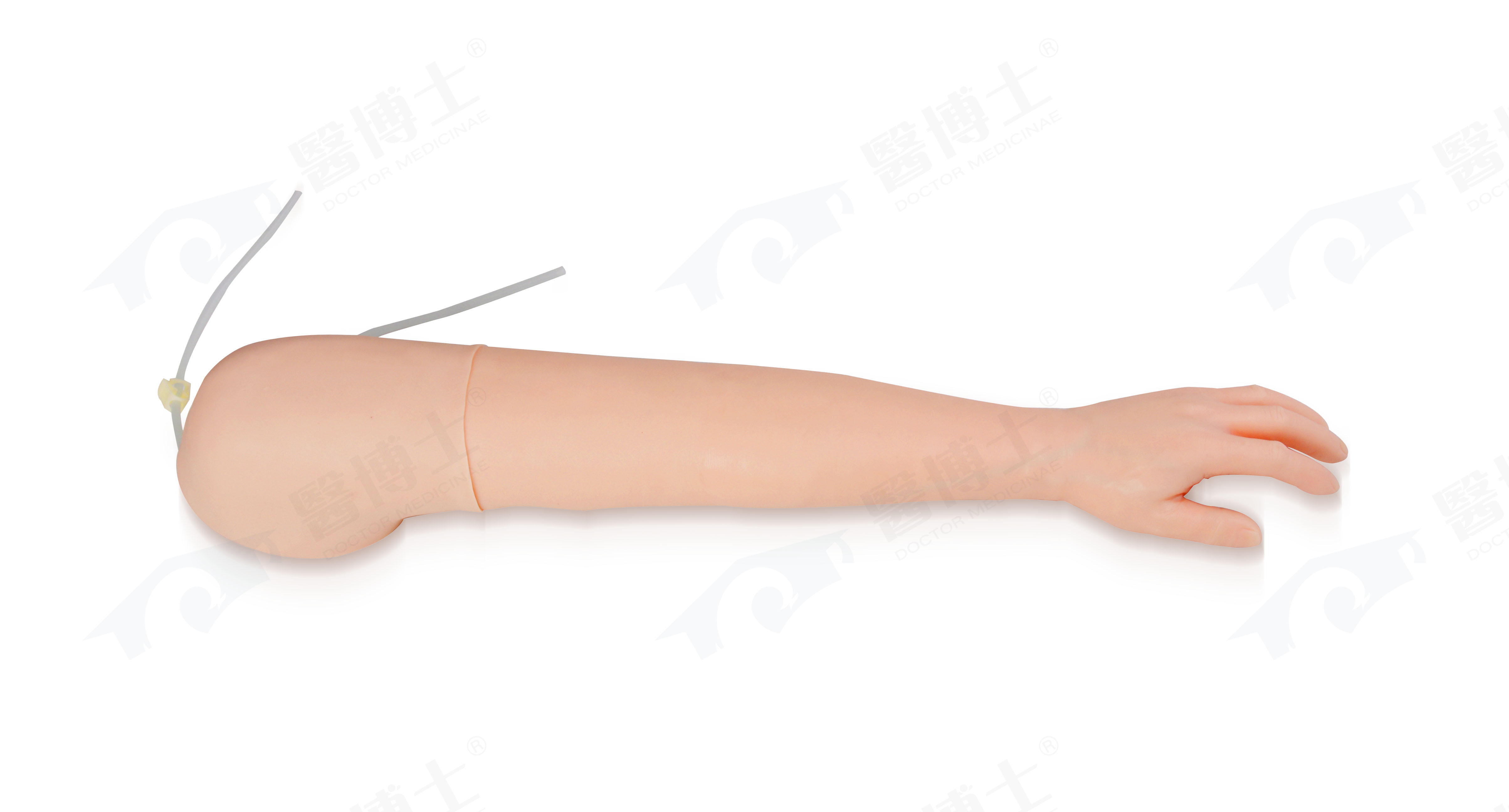 DM-NS6003 高级静脉注射手臂模型   