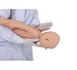 DM-CPR1500 高级婴儿气道梗塞及CPR模型